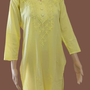 Lakhnovi Chikan Kurti